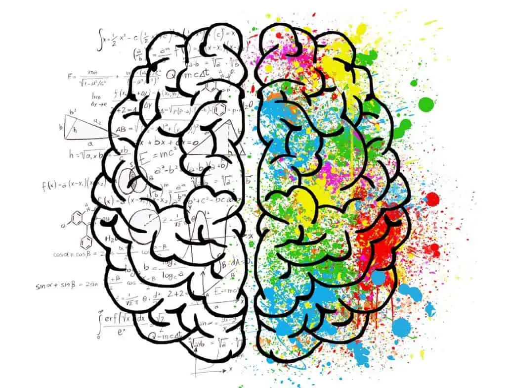 Does Reading Books Make You Smarter? A Complete Guide to Reading for Brain Growth